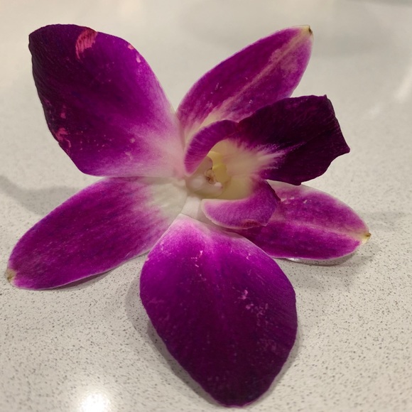 Meet your Posher, Julia - Picture 1 of 1